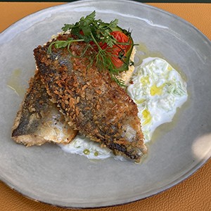 Weibel Weine | Restaurant Ludmilla