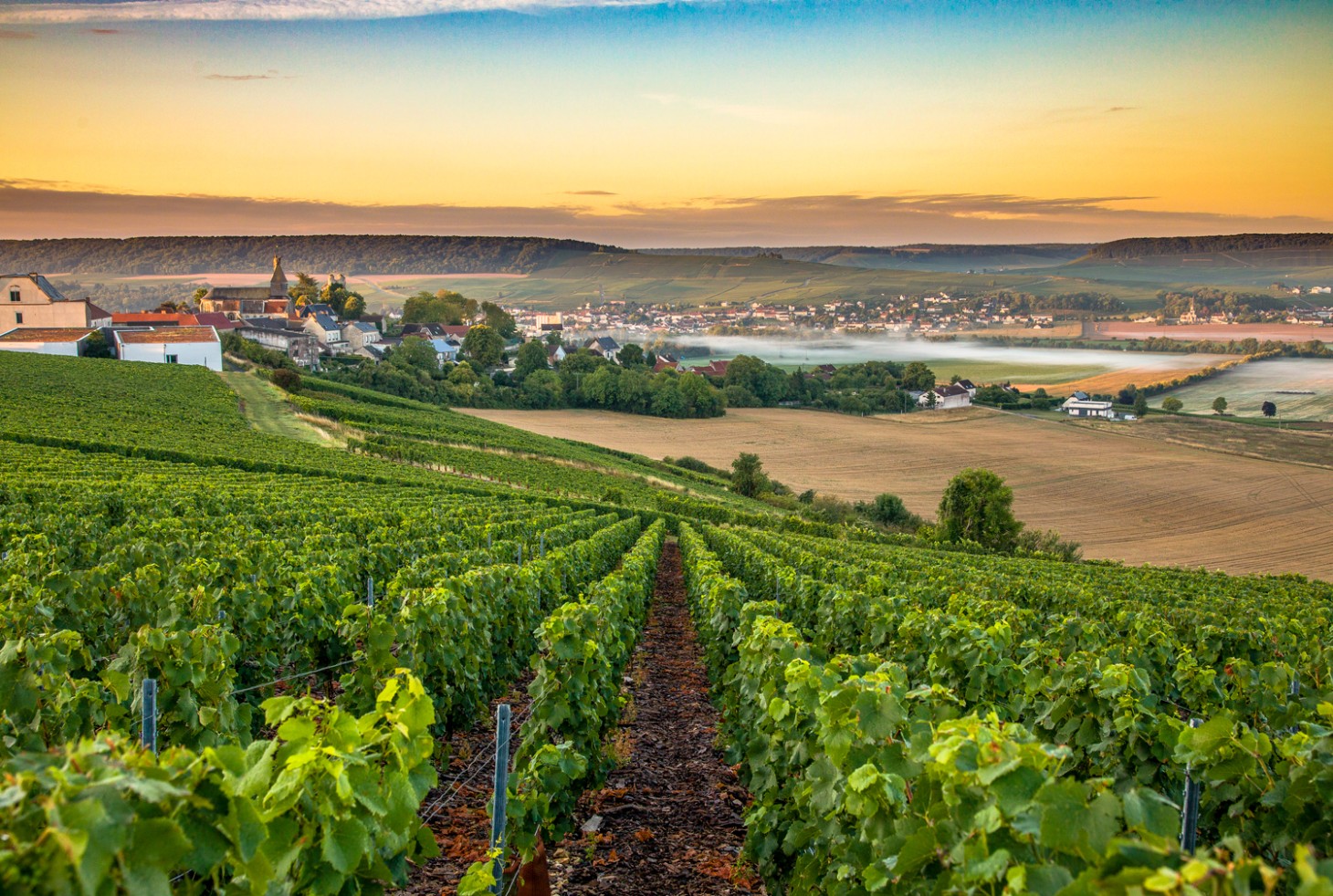 Weibel Weine | Champagne