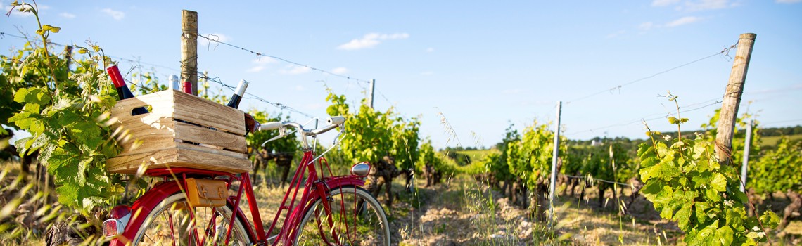 Weibel Weine | Header